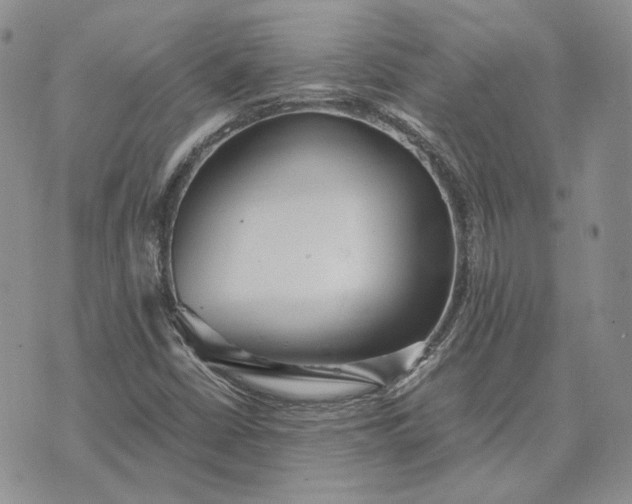 X0000072981402200608041231