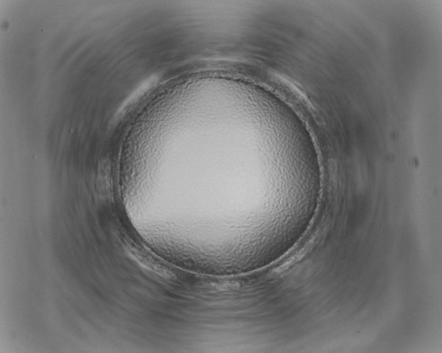 X0000072981403200608041231