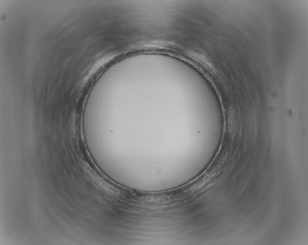 X0000072981404200608041231