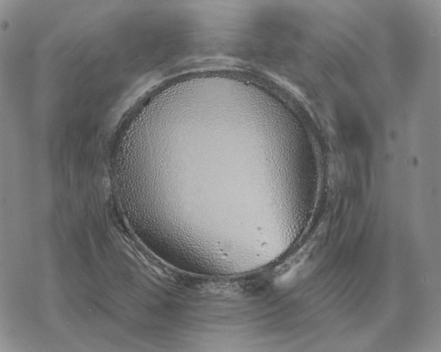 X0000072981407200608041231