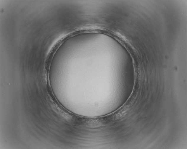 X0000072981408200608041231