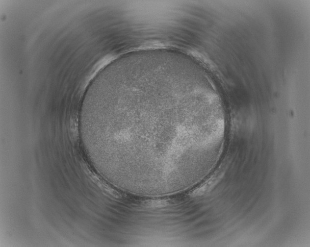 X0000072981409200608041231