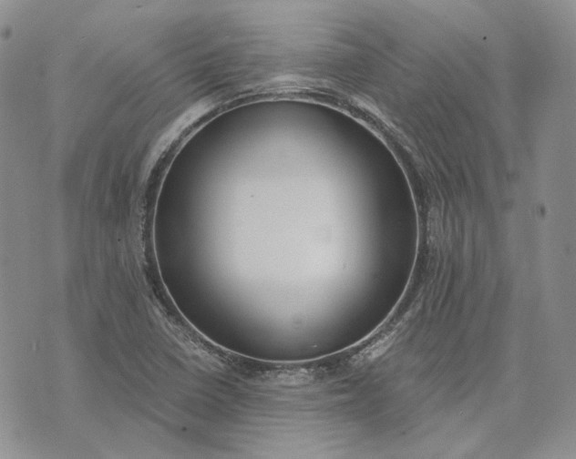 X0000072981410200608041231