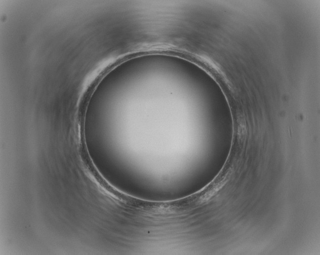 X0000072981414200608041232