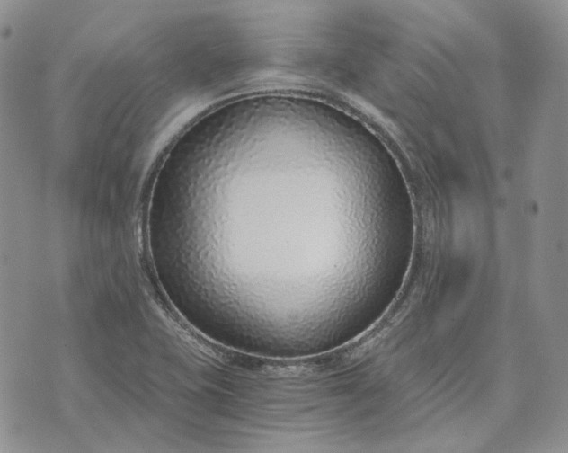 X0000072981415200608041232