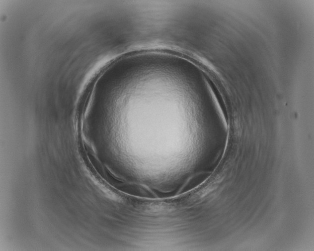 X0000072981416200608041232