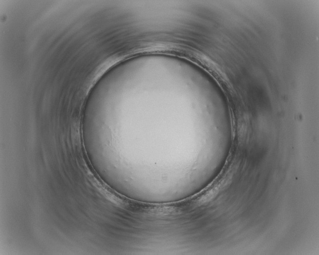 X0000072981417200608041232