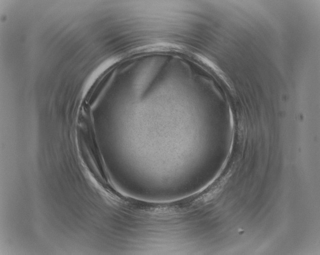 X0000072981418200608041232