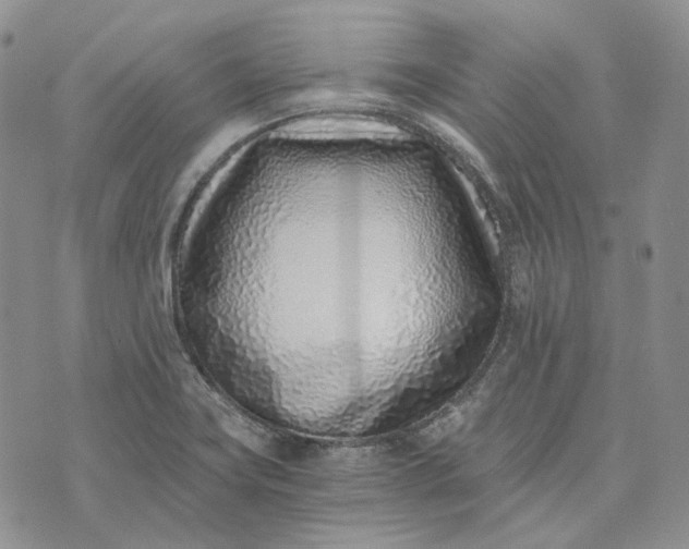 X0000072981419200608041232