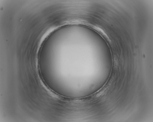 X0000072981424200608041232