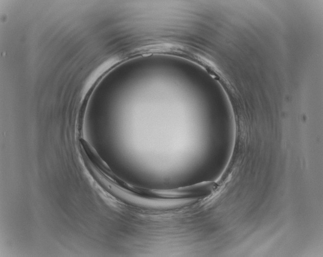 X0000072981426200608041232