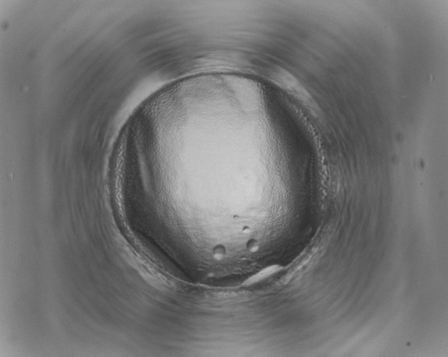 X0000072981427200608041232