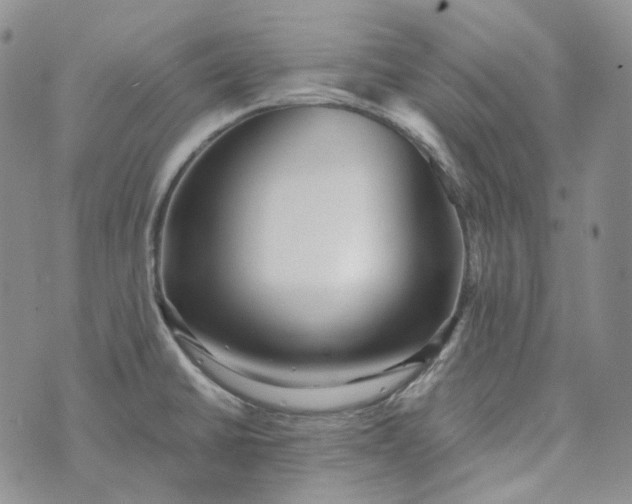 X0000072981430200608041232