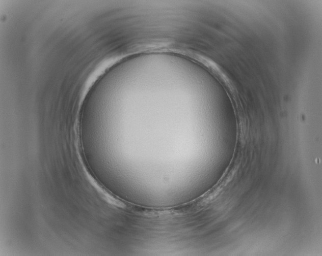 X0000072981432200608041232