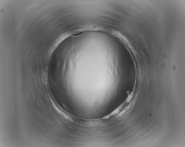 X0000072981433200608041232