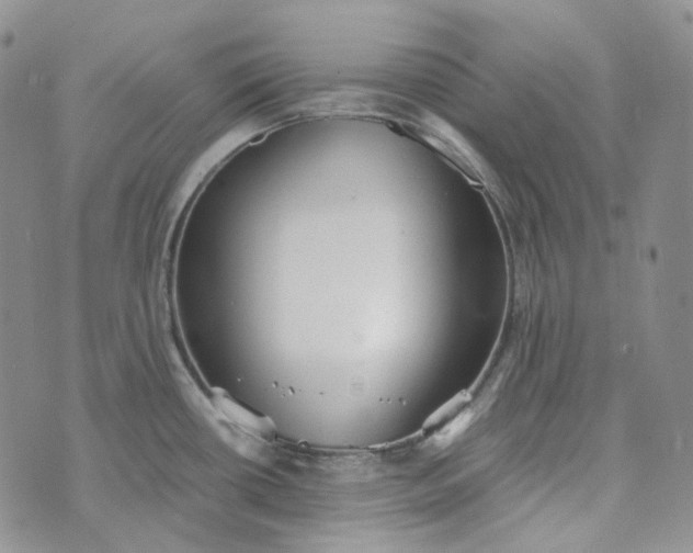 X0000072981434200608041232