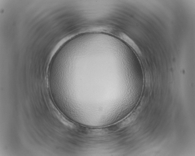 X0000072981436200608041232