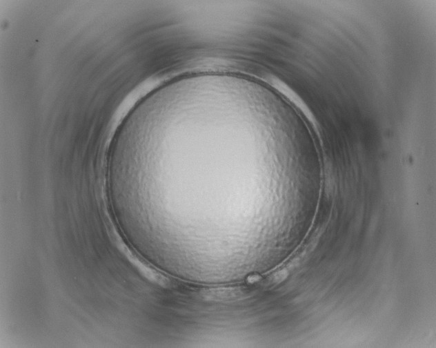 X0000072981437200608041232