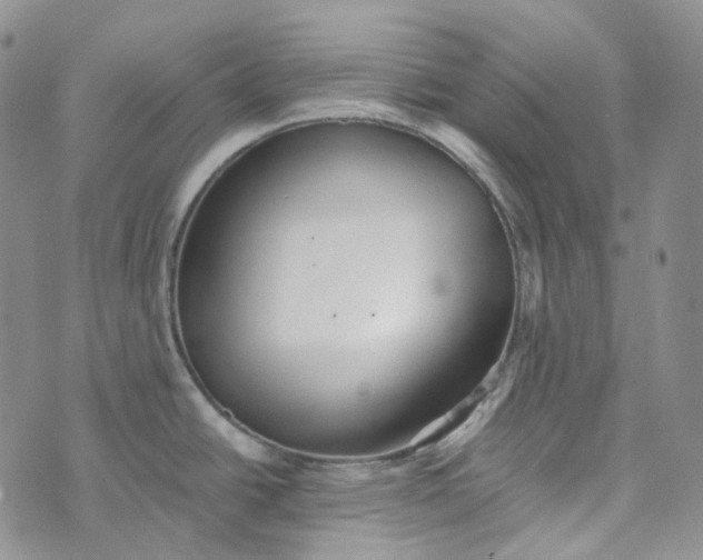 X0000072981438200608041232