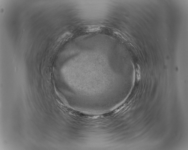 X0000072981441200608041231