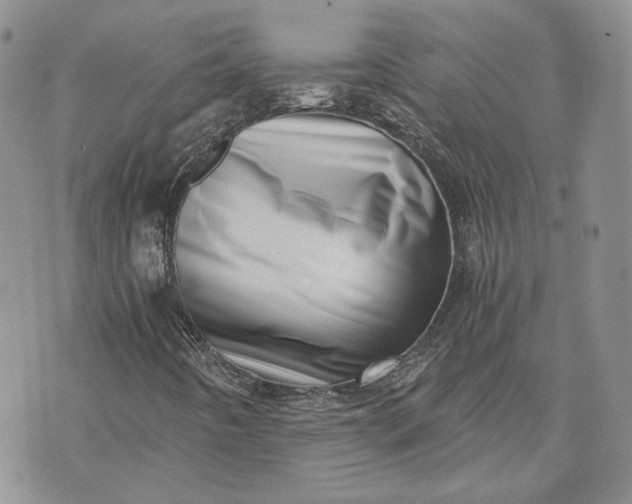 X0000072981442200608041231