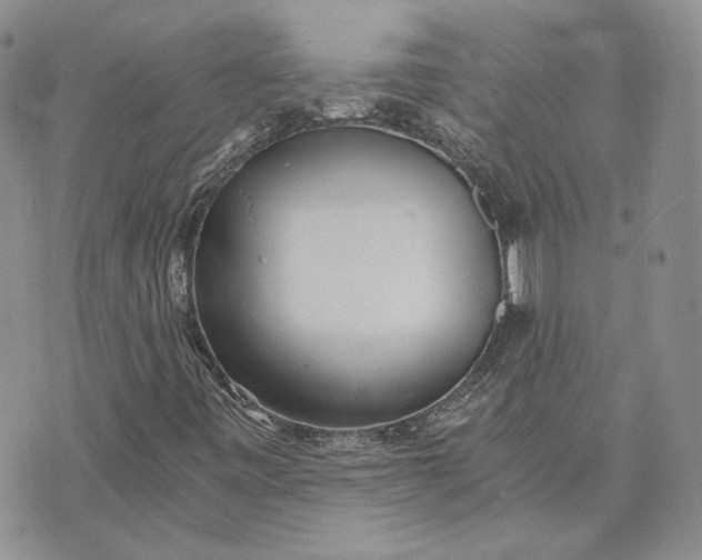 X0000072981443200608041231