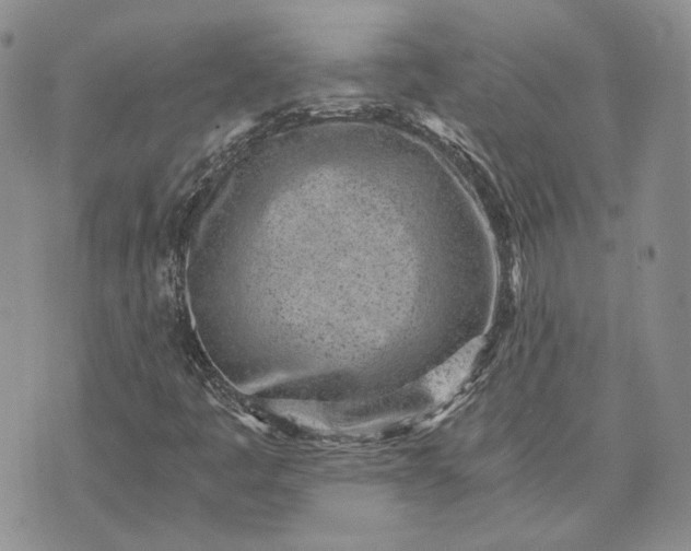 X0000072981445200608041231