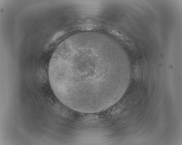 X0000072981446200608041231