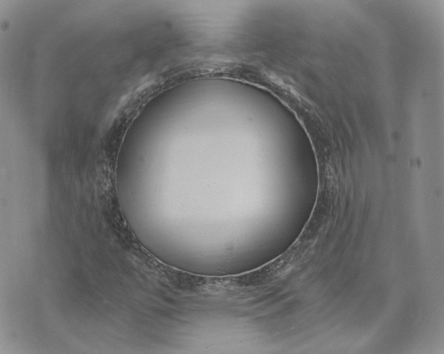 X0000072981447200608041231