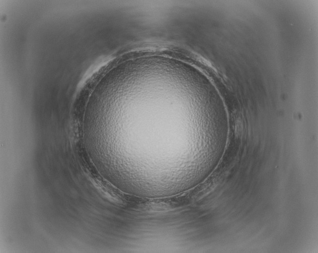 X0000072981448200608041231