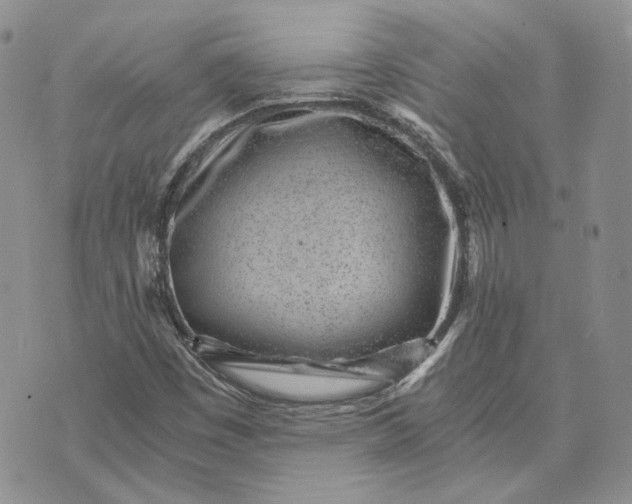 X0000072981449200608041231