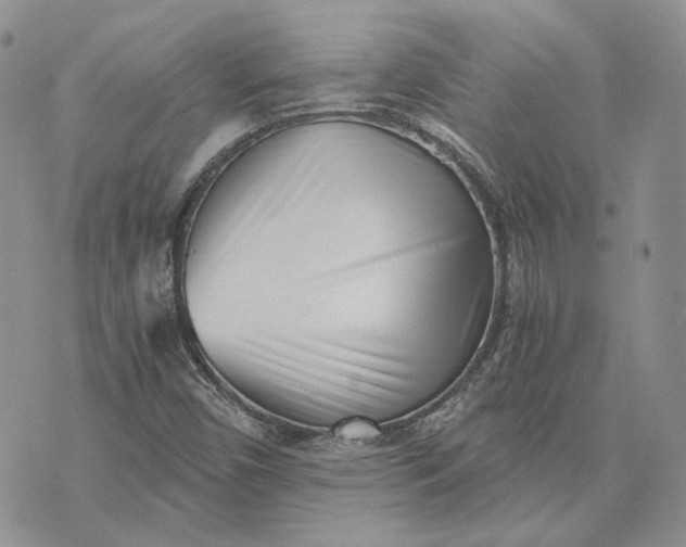 X0000072981450200608041231