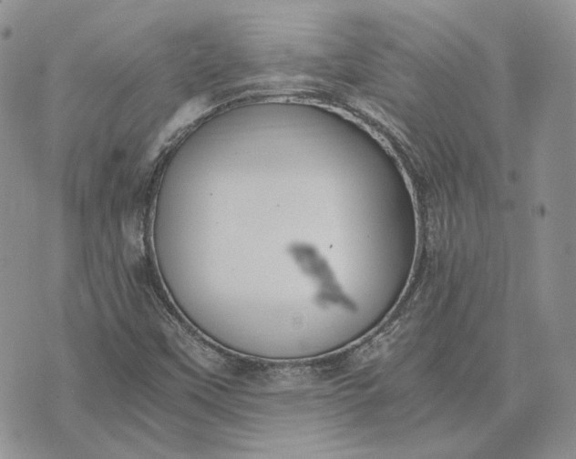 X0000072981451200608041231