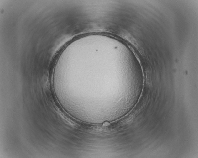 X0000072981452200608041231