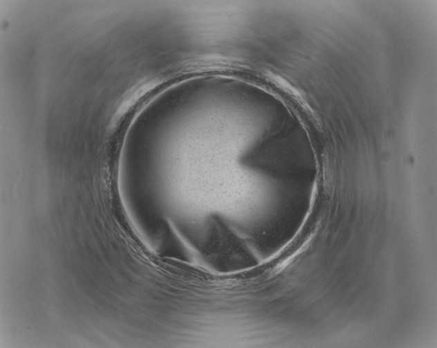 X0000072981453200608041231