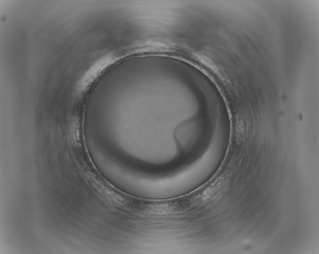 X0000072981455200608041231