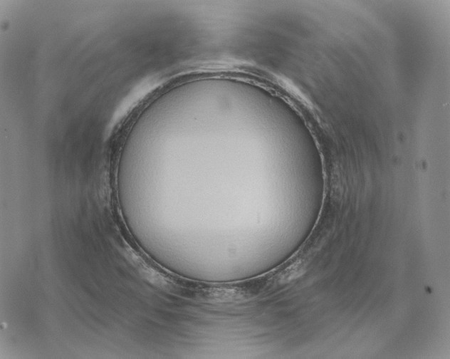 X0000072981456200608041231