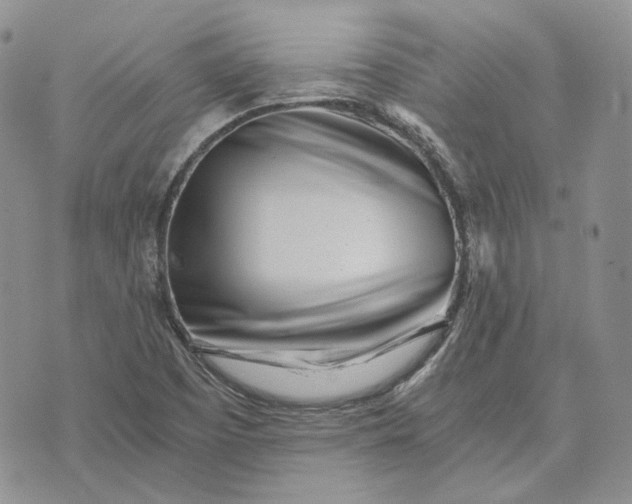 X0000072981457200608041231