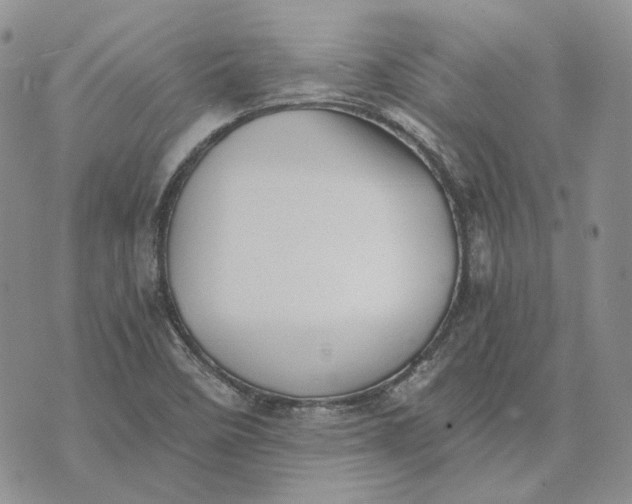 X0000072981458200608041231