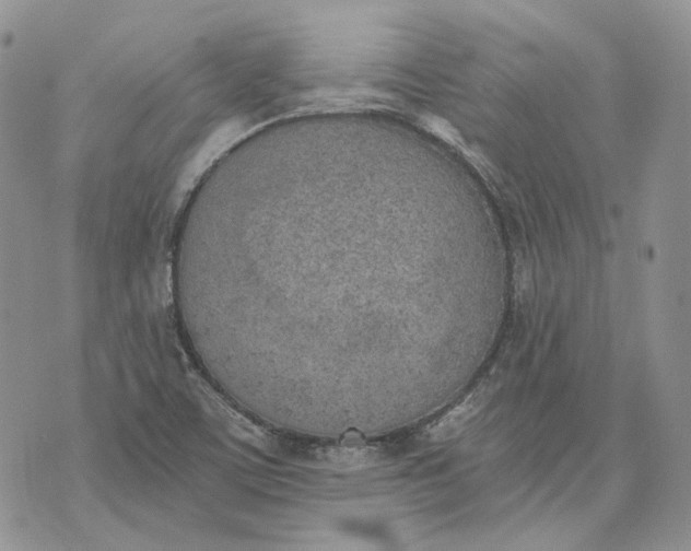 X0000072981459200608041231