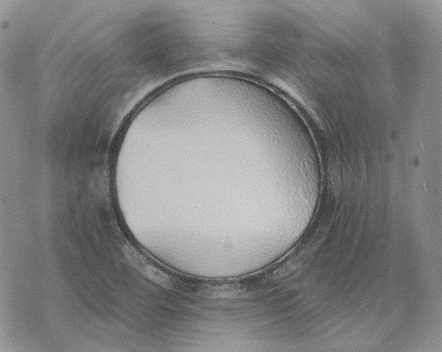 X0000072981460200608041231