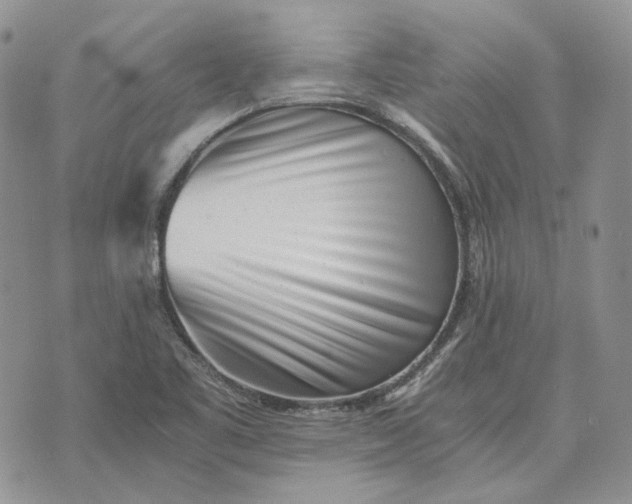 X0000072981461200608041231