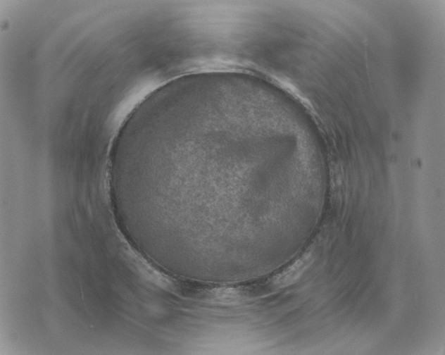 X0000072981463200608041231