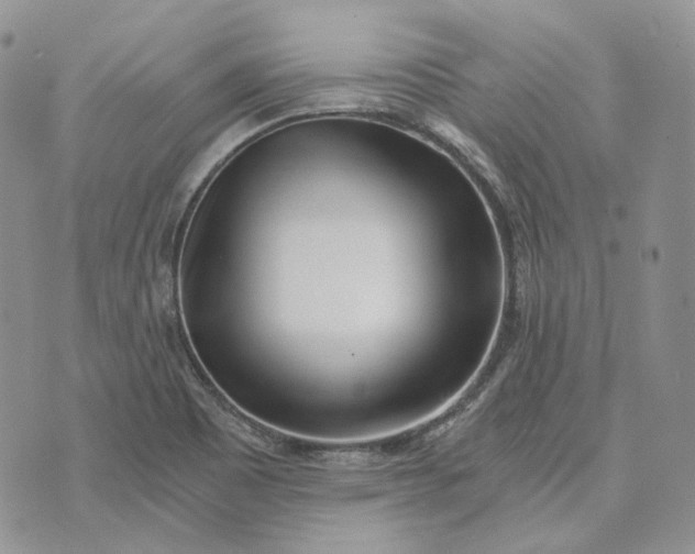 X0000072981465200608041231