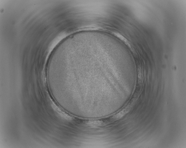 X0000072981466200608041231