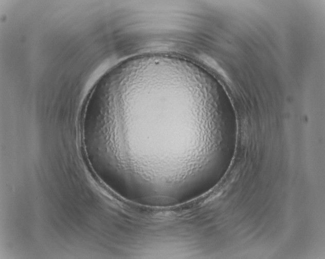 X0000072981467200608041231