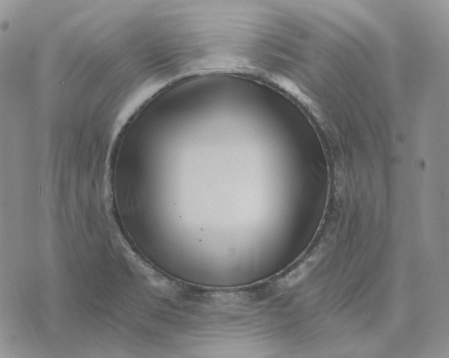 X0000072981469200608041231