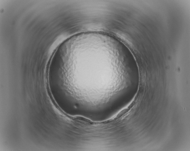 X0000072981471200608041231