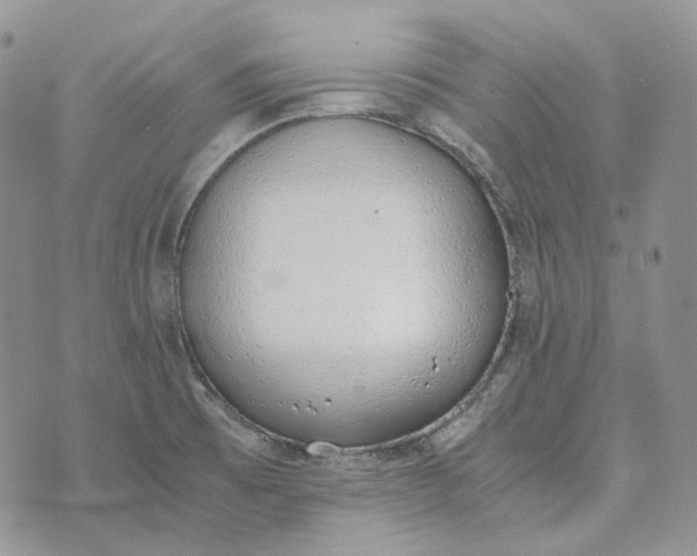 X0000072981473200608041231