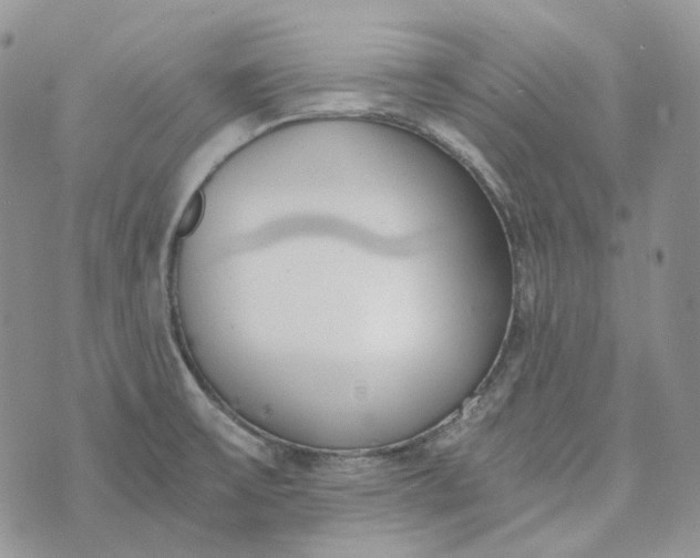 X0000072981475200608041231